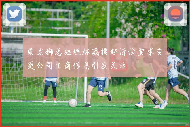 前龙狮总经理林葳提起诉讼要求变更公司工商信息引发关注